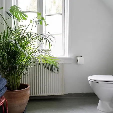 Rosenhøj Bed & Breakfast 3*