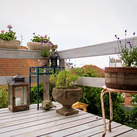 Bed & Breakfast Rosenhøj